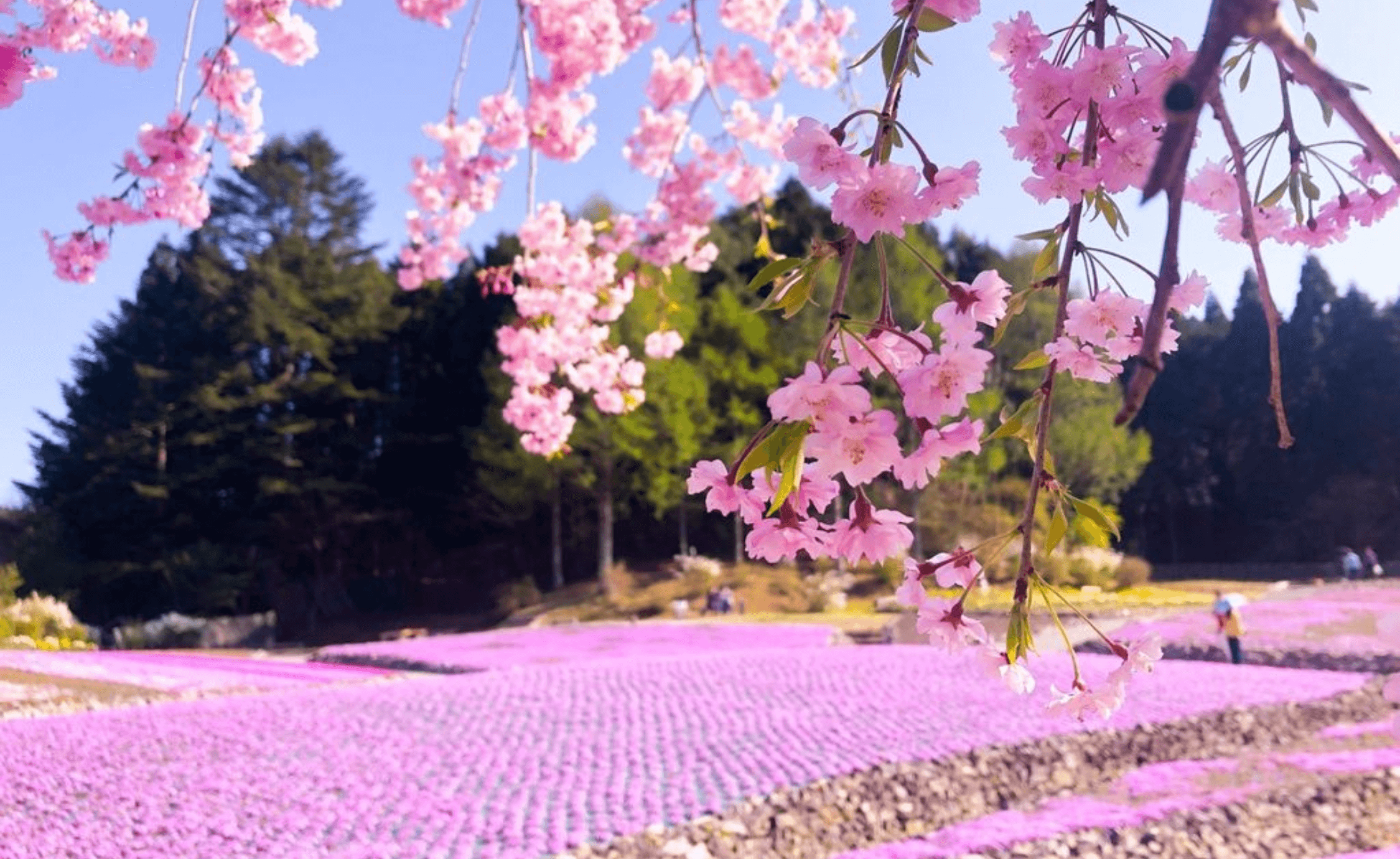 三田市のエコキュート