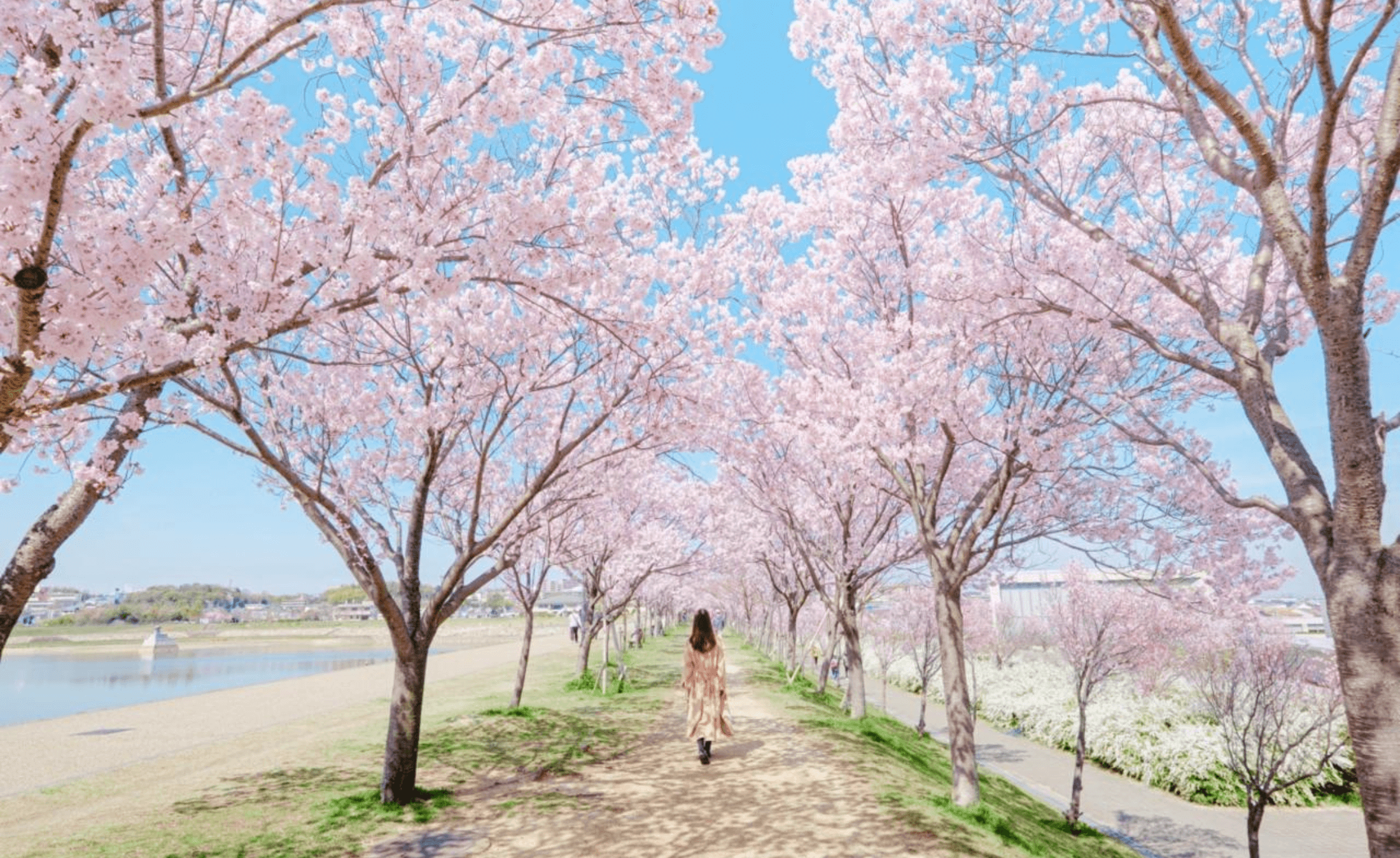 大阪狭山市のエコキュート