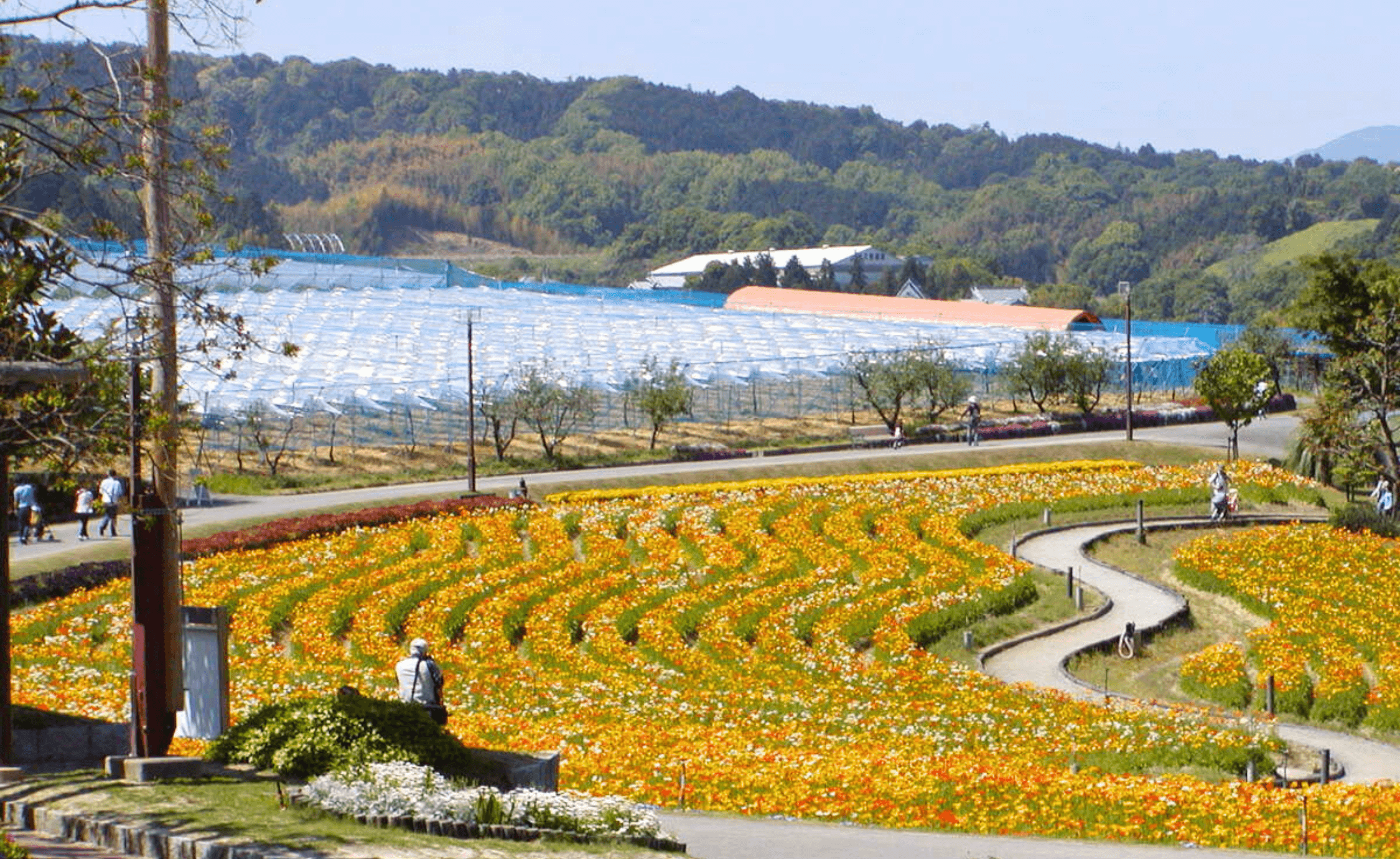 富田林市のエコキュート