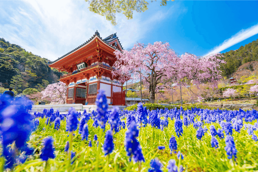 箕面市のエコキュート