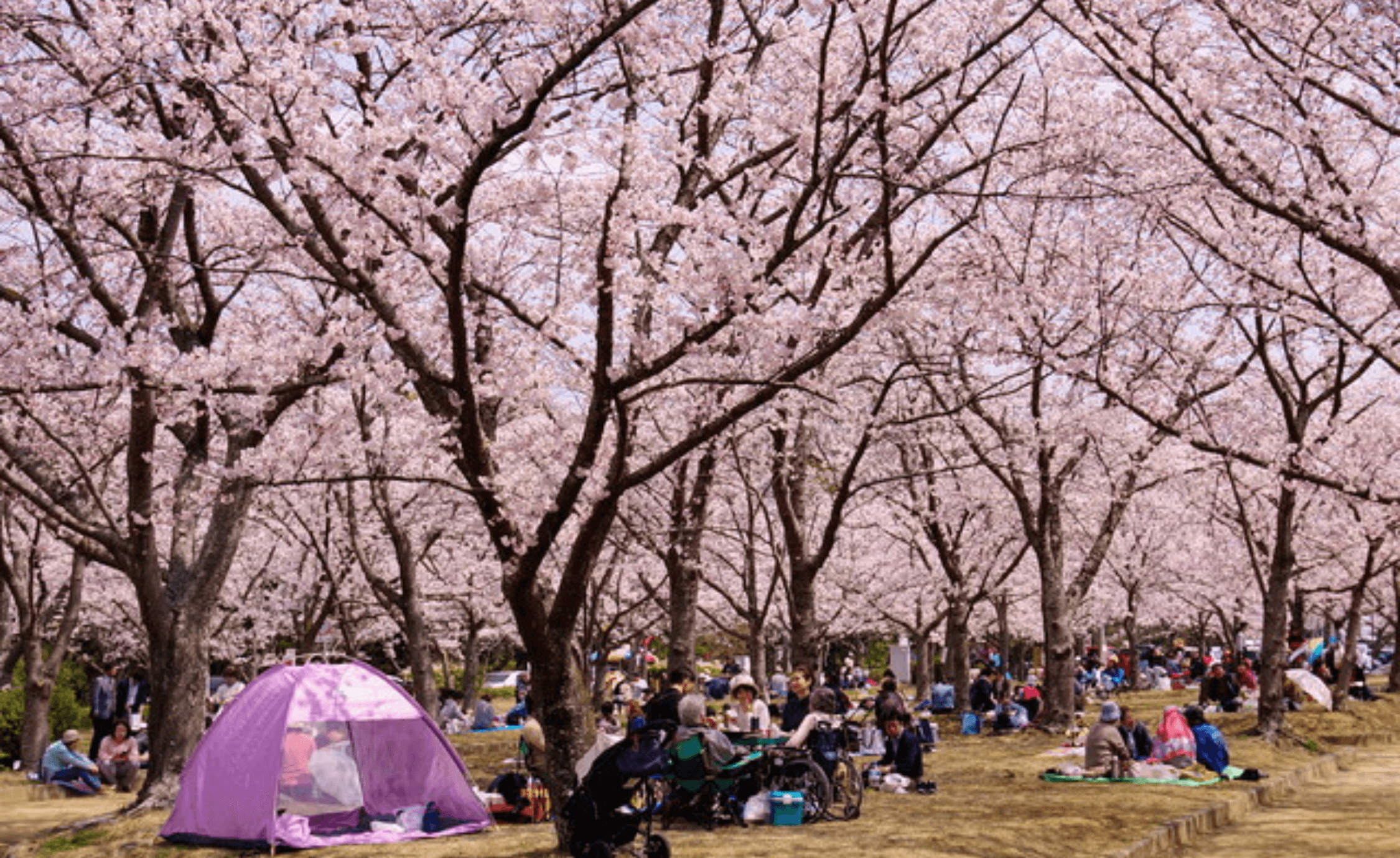 加古郡のエコキュート