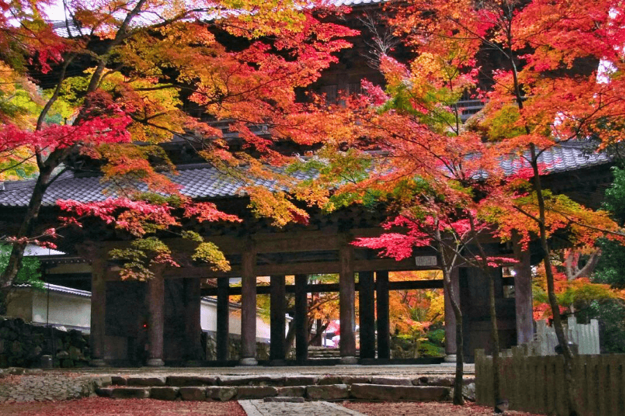 東近江市のエコキュート