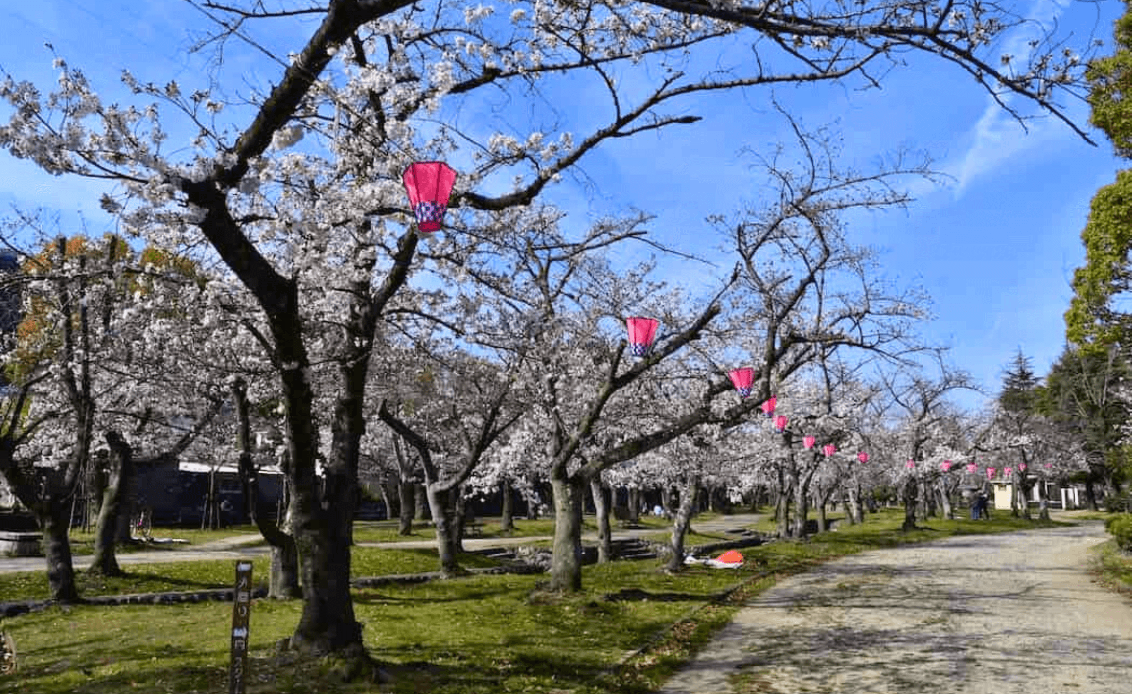 尼崎市のエコキュート