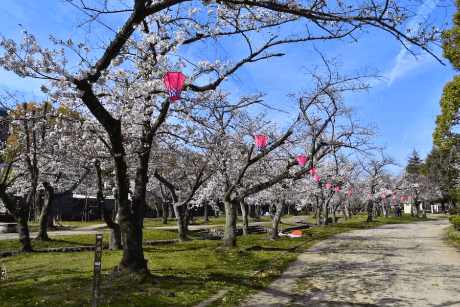 尼崎市のエコキュート