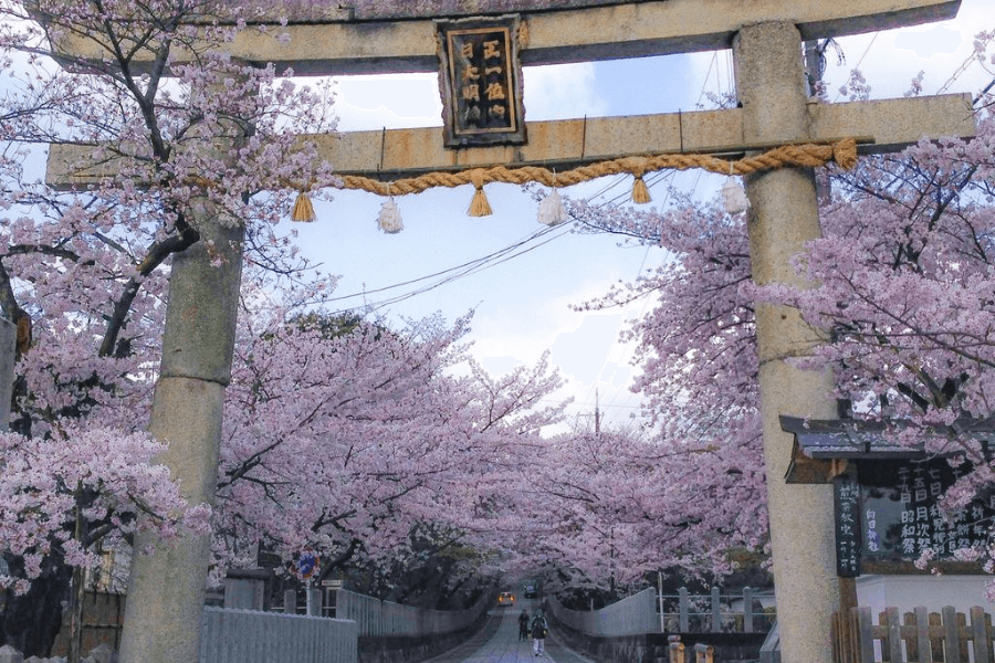 向日市のエコキュート