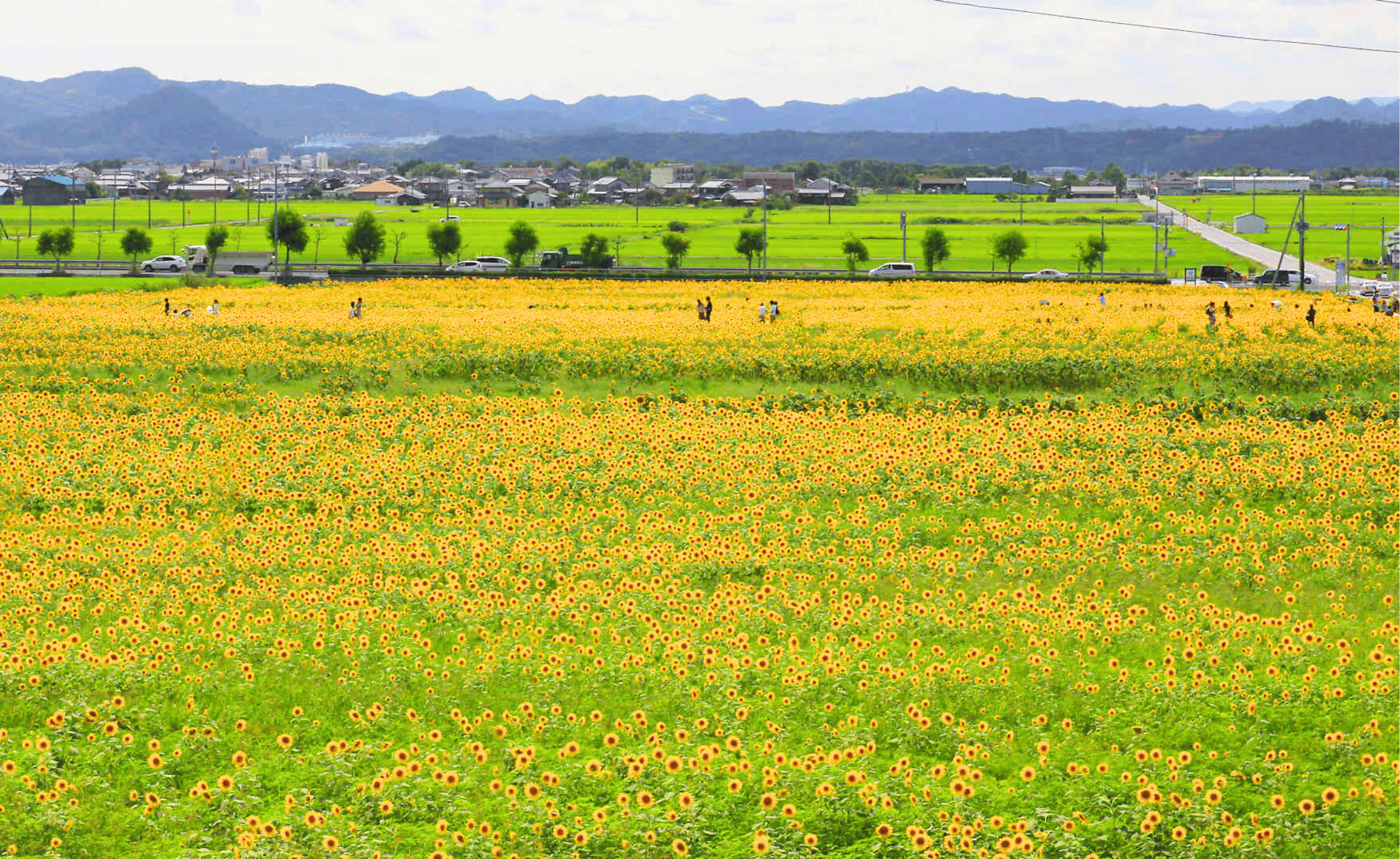 小野市のエコキュート