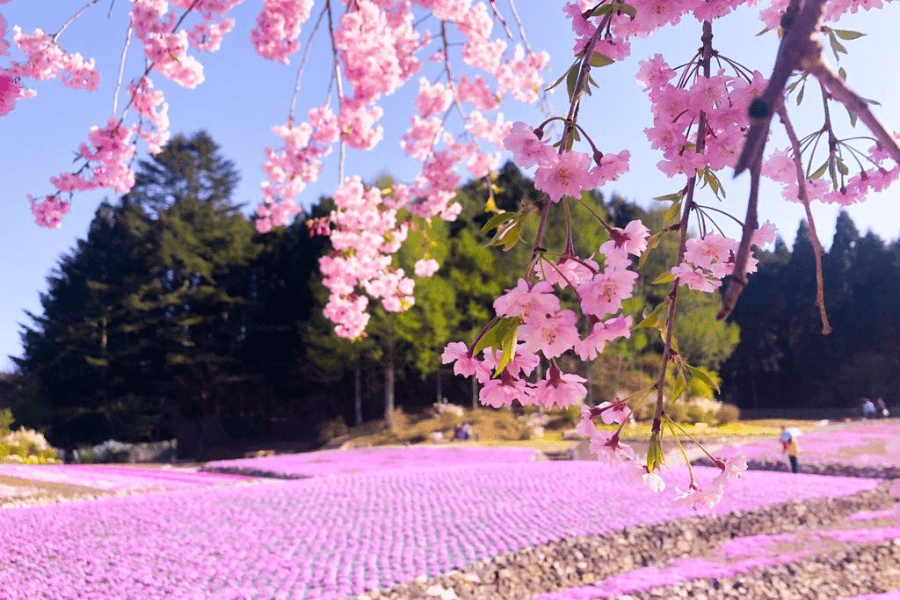 三田市のエコキュート