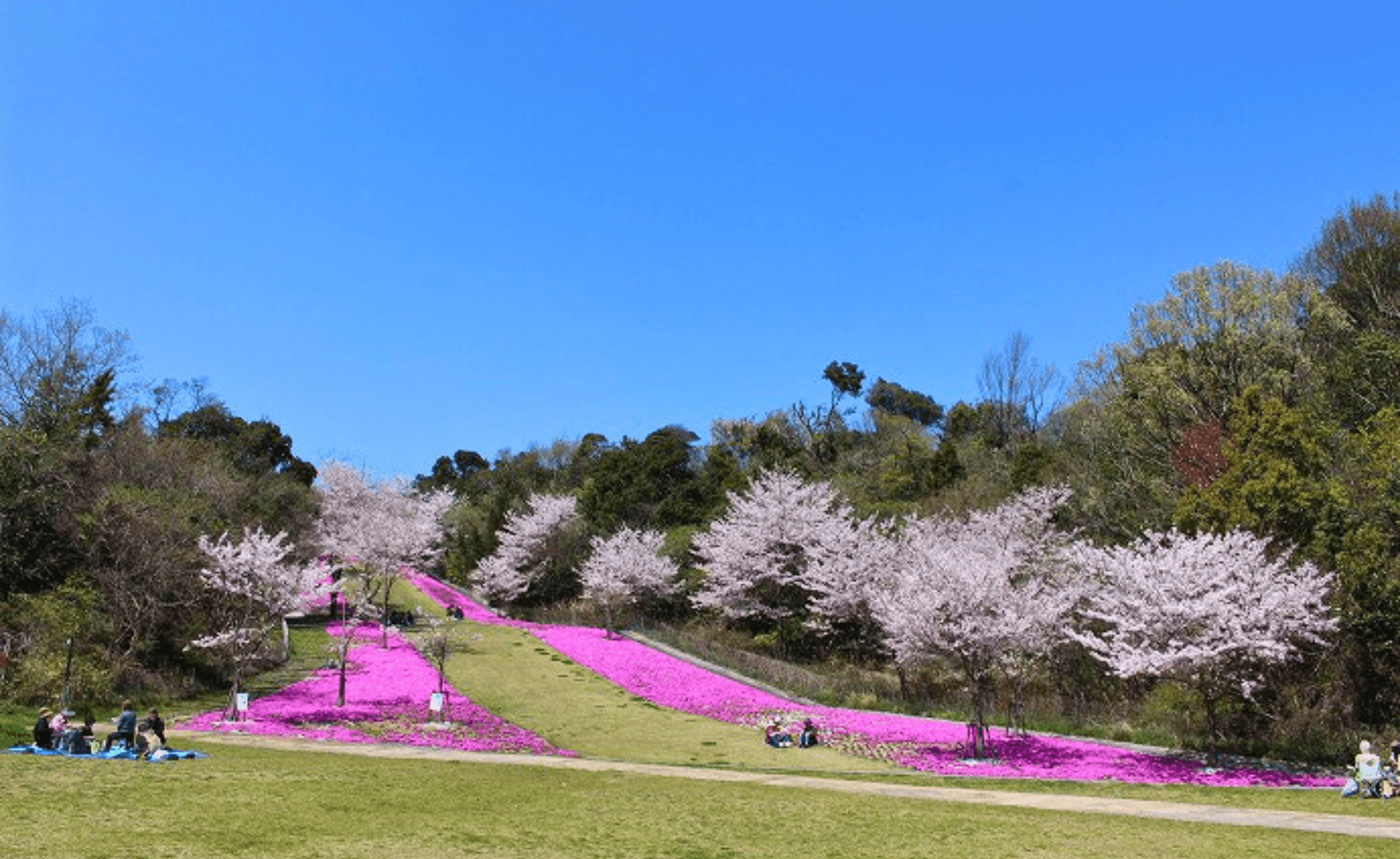 泉南市のエコキュート