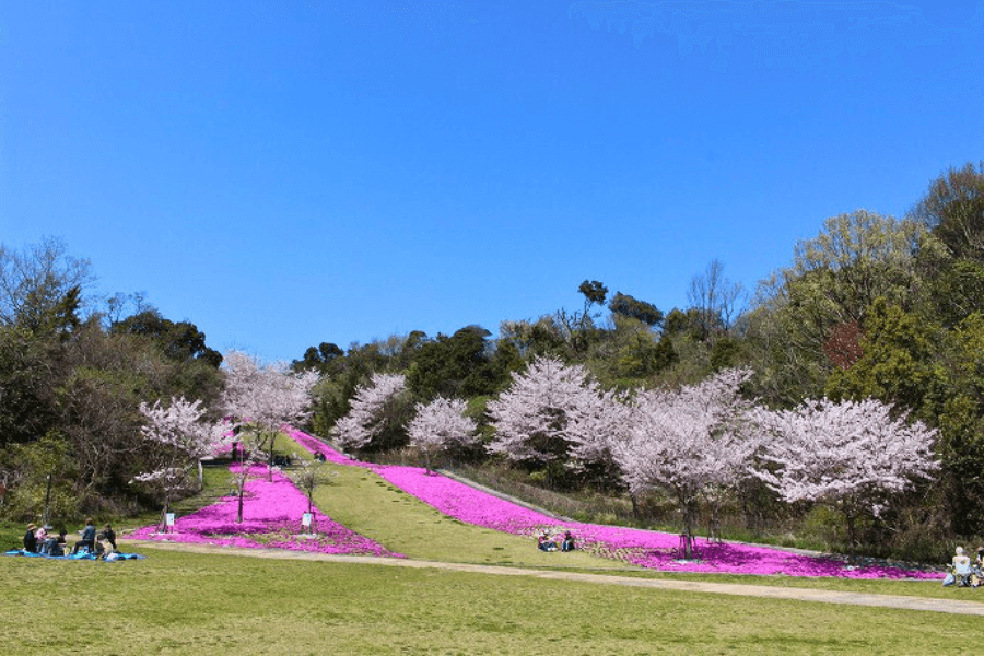 泉南市のエコキュート