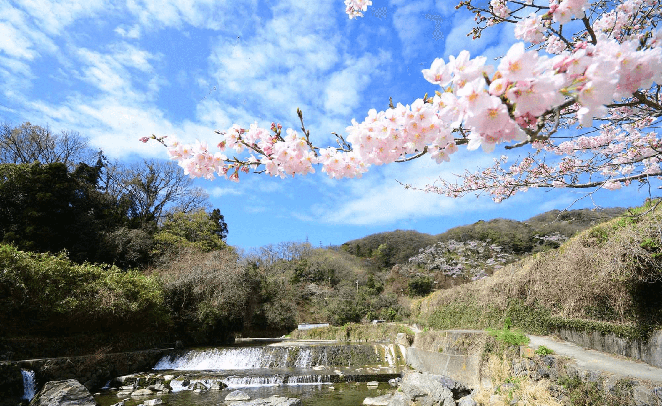 高槻市のエコキュート