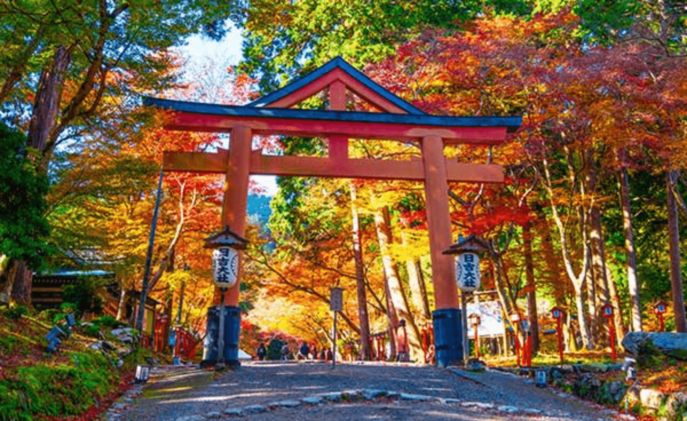 大津市のエコキュート