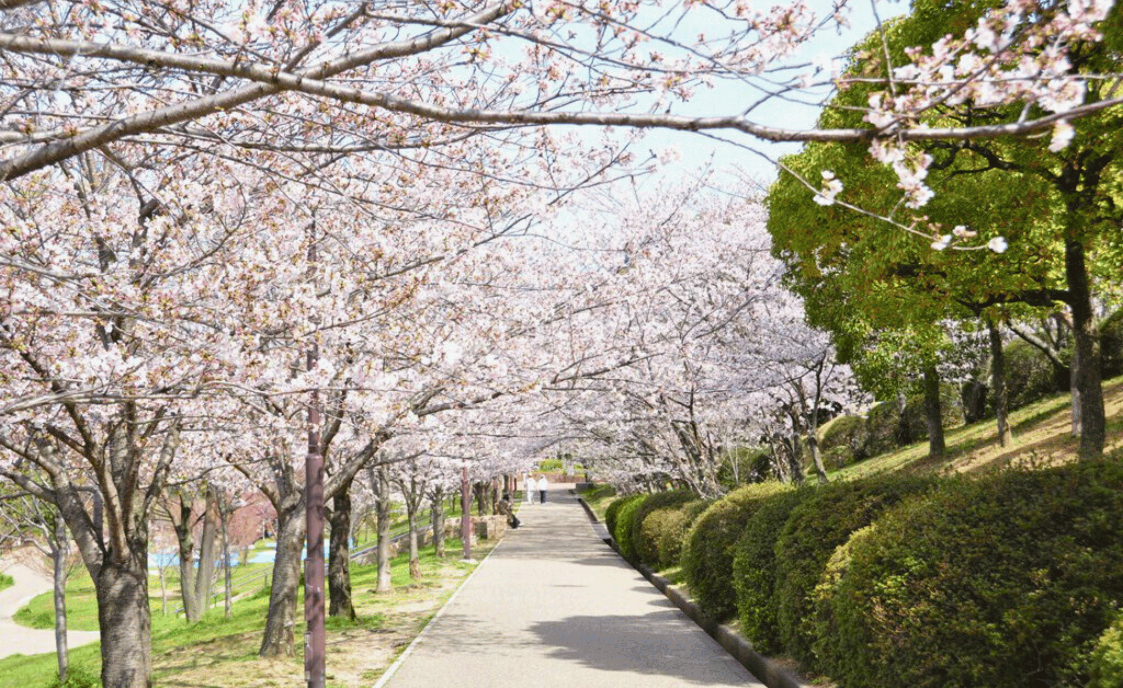 和泉市のエコキュート