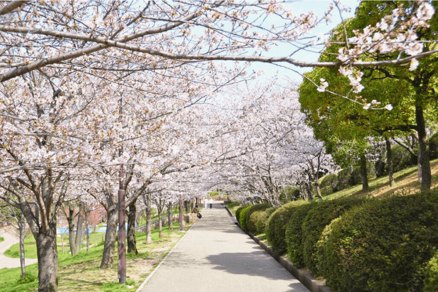 和泉市のエコキュート