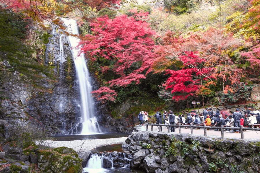 箕面市のエコキュート