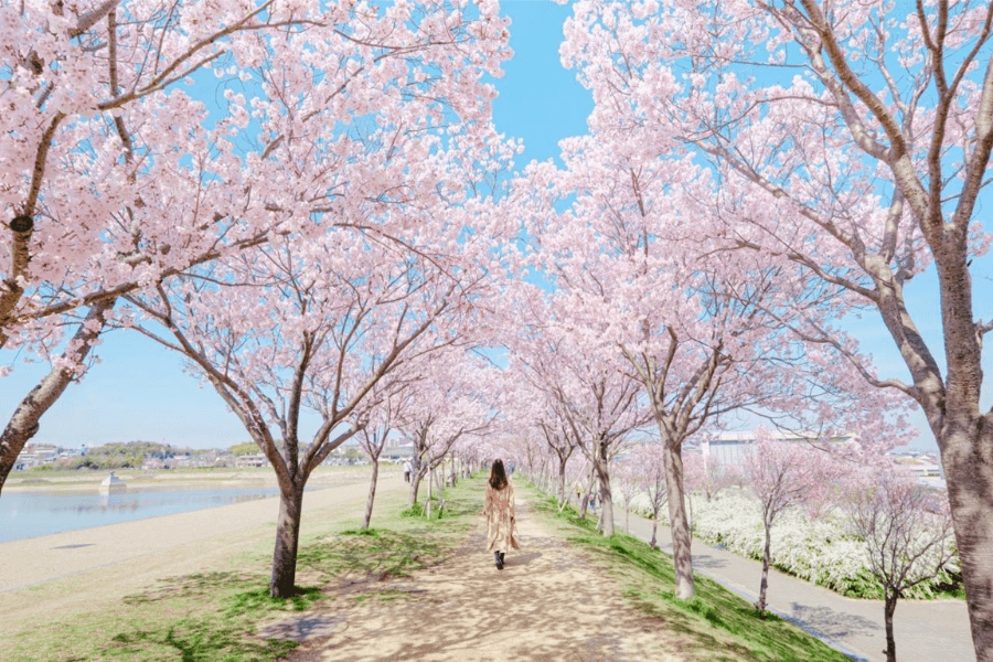 大阪狭山市のエコキュート