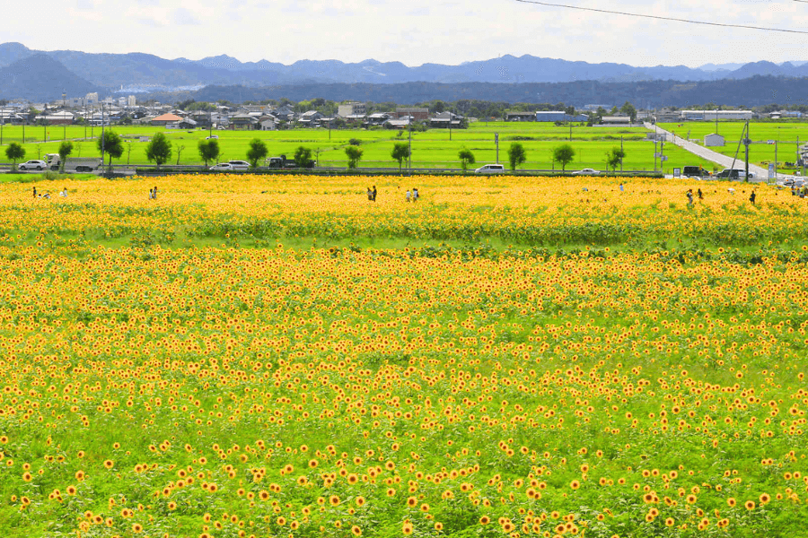 小野市のエコキュート