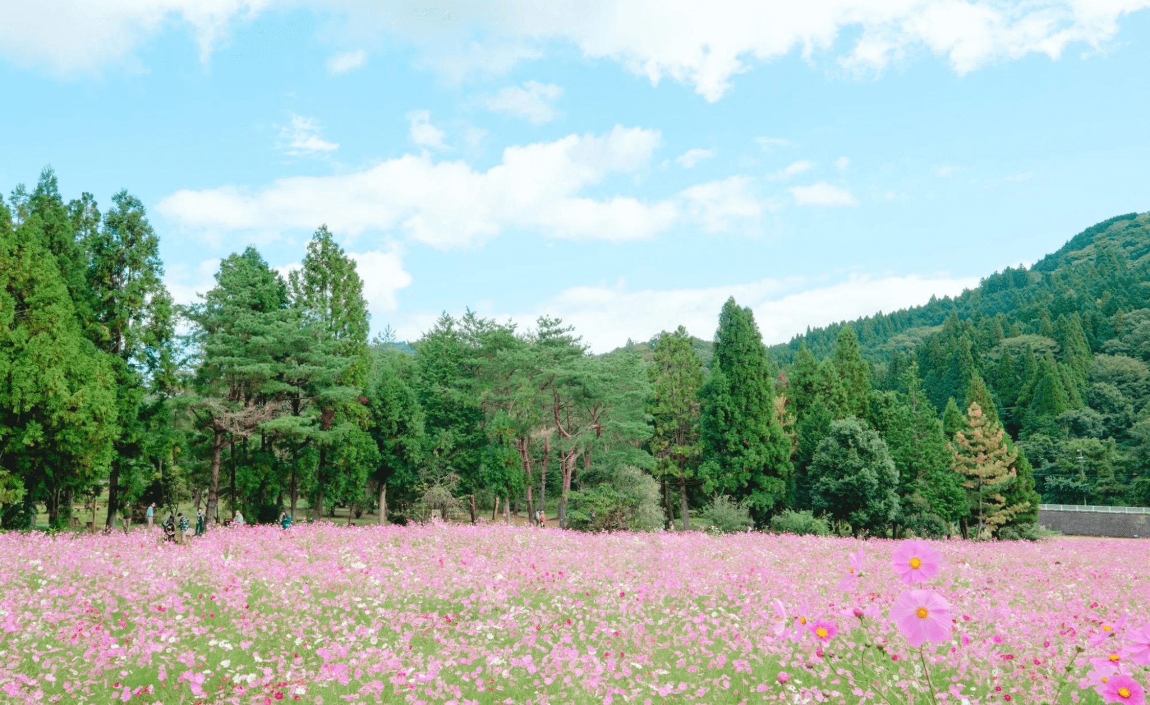 豊能郡のエコキュート