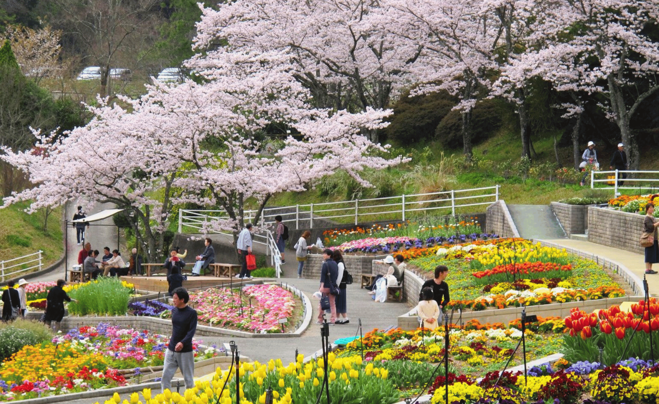 岩出市のエコキュート