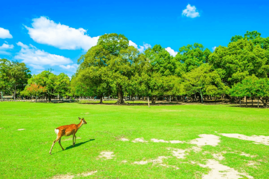 奈良県のエコキュート