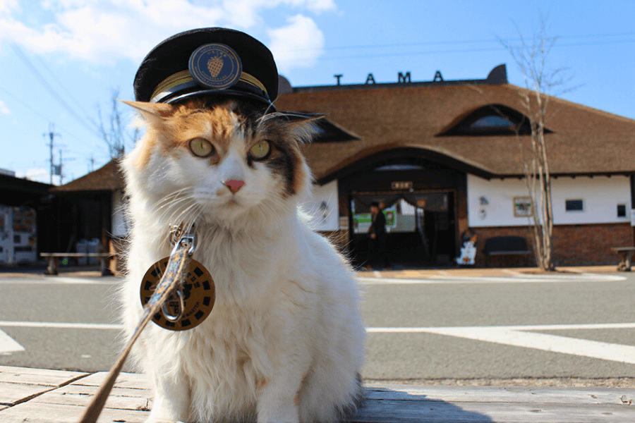 紀の川市のエコキュート