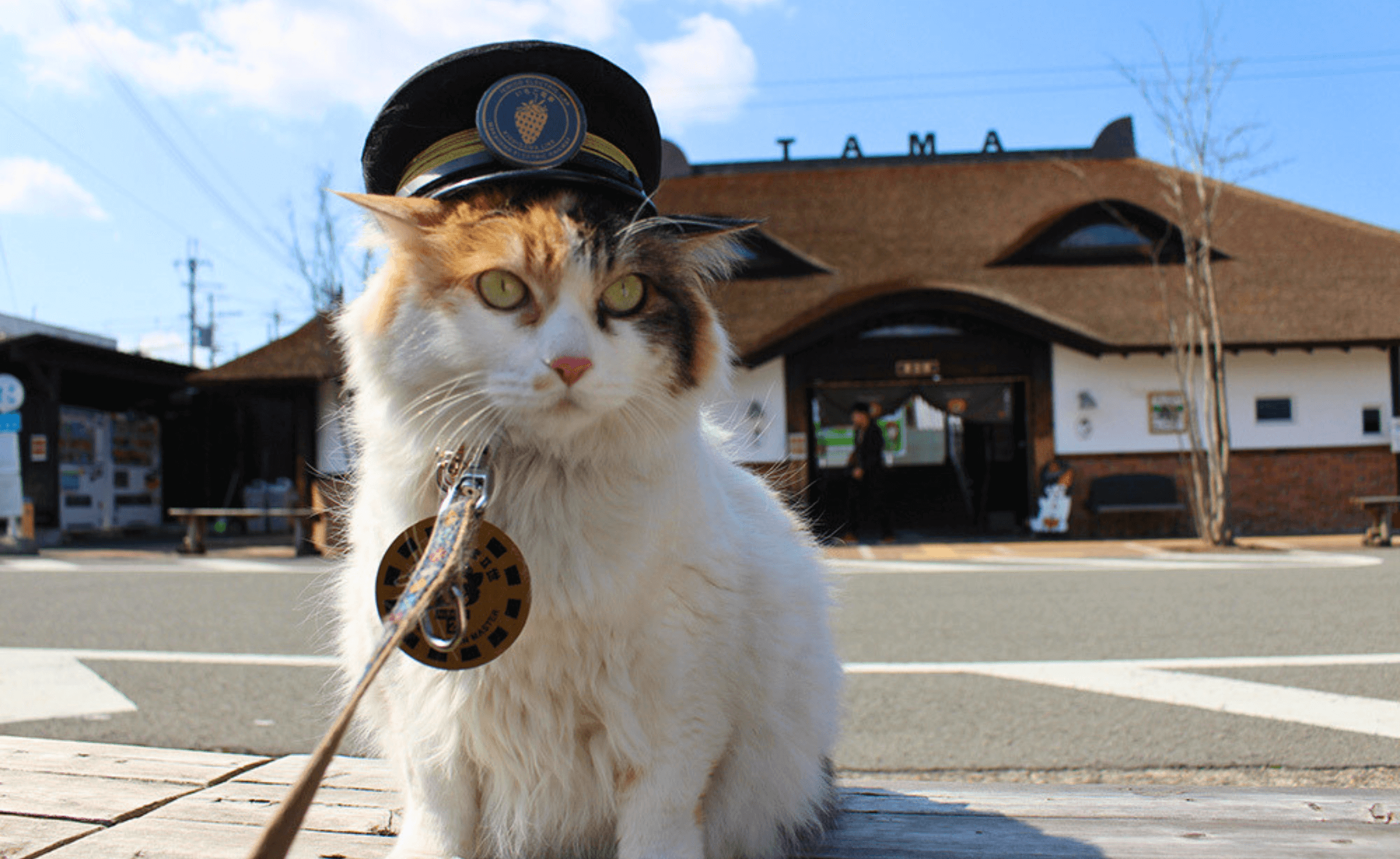 紀の川市のエコキュート