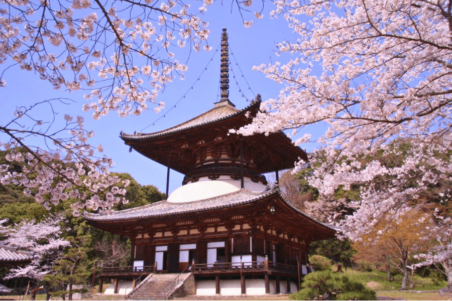 岩出市のエコキュート