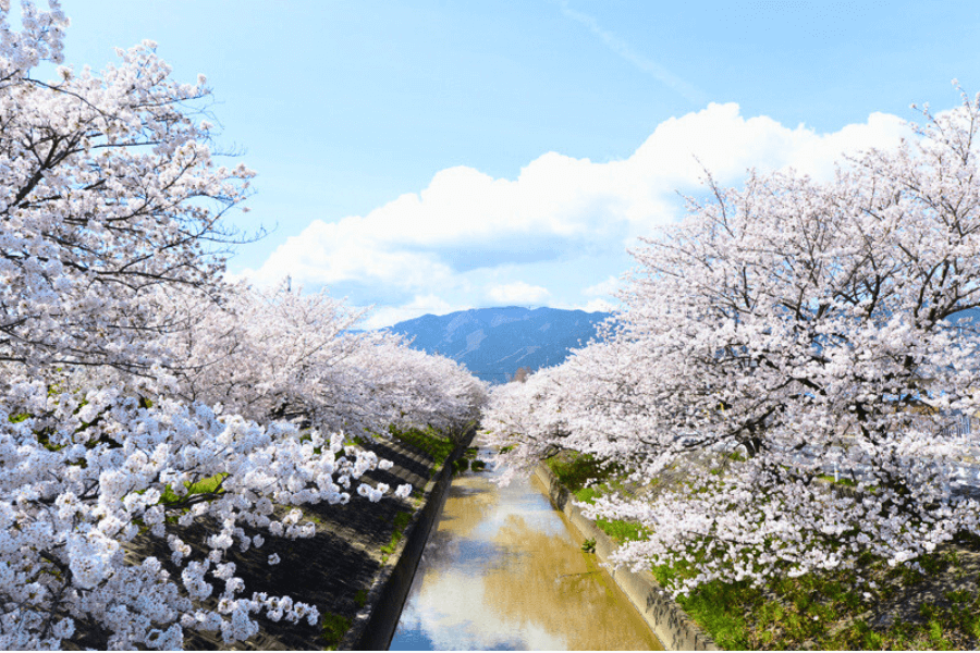 大和高田市のエコキュート