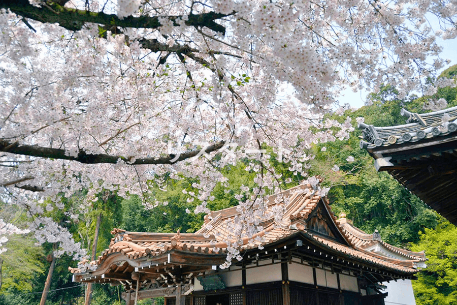 宝積寺