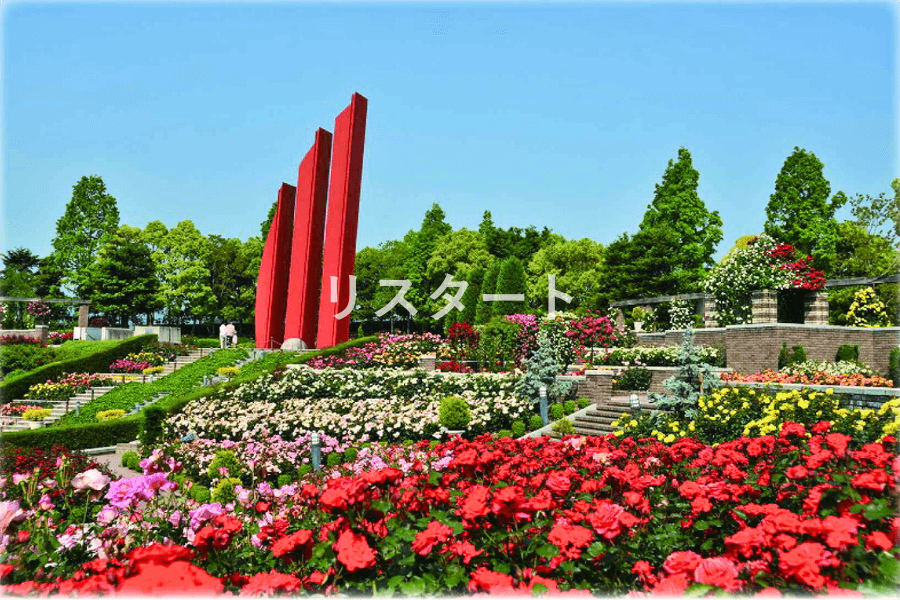 荒巻バラ公園