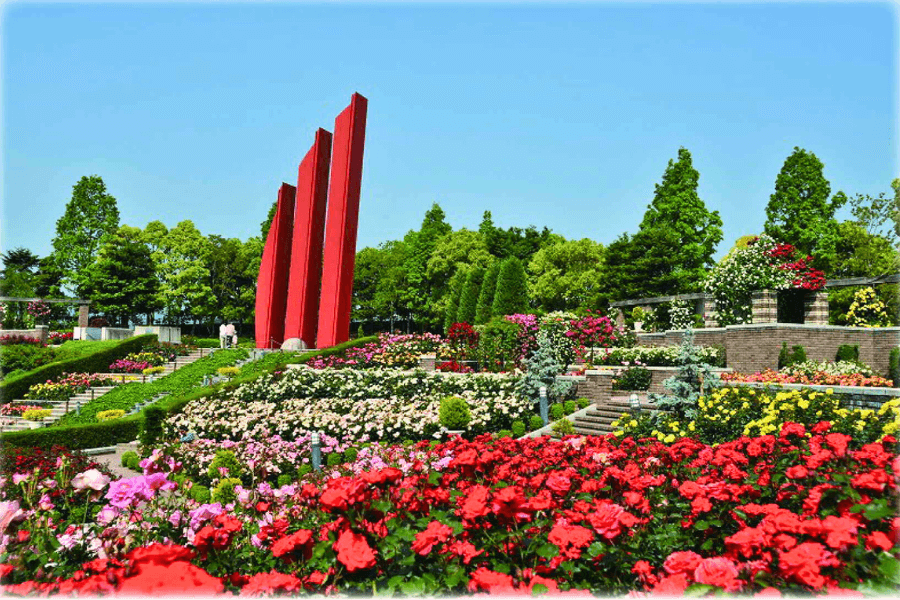 荒巻バラ公園